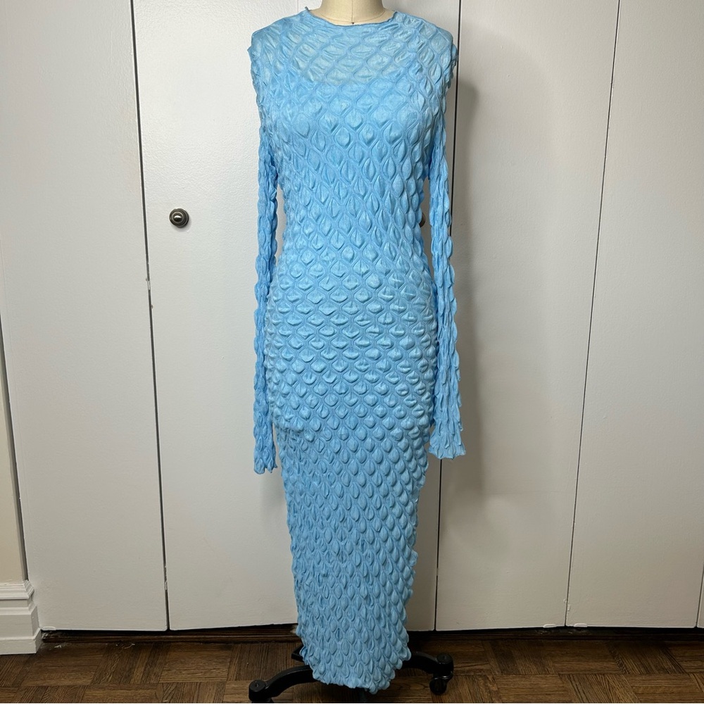 NWT Fashion Nova Bodycon Maxi Dress
